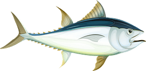 Thunnus