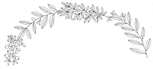 Drawn branches