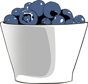 Blueberries in a bowl