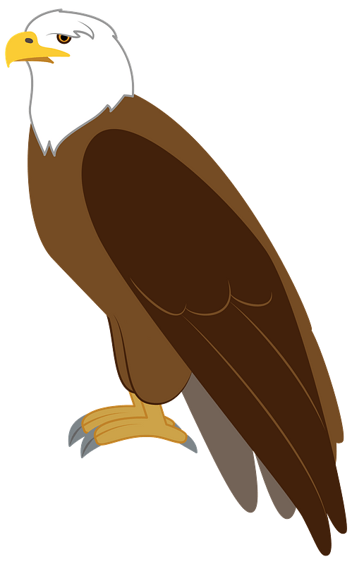 Eagle