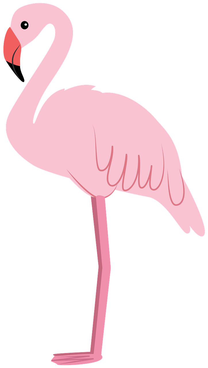 火烈鸟