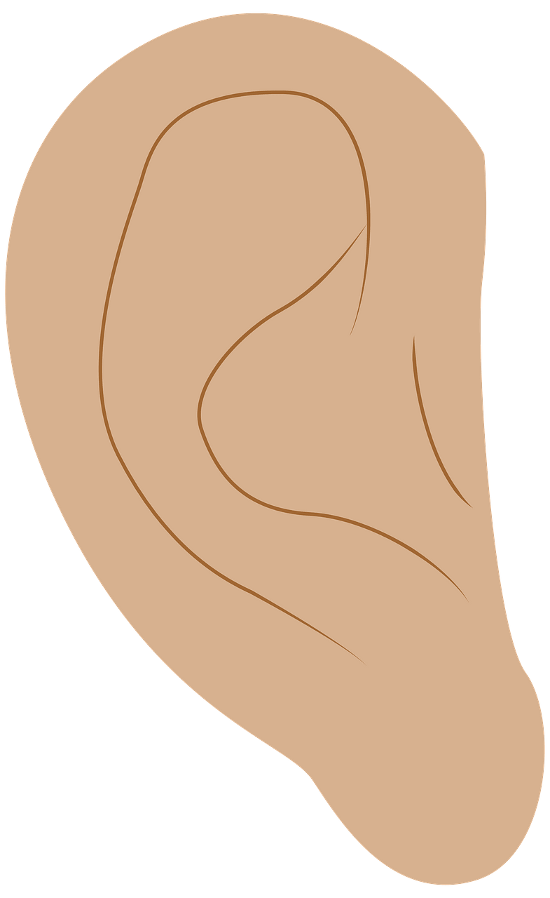 หู