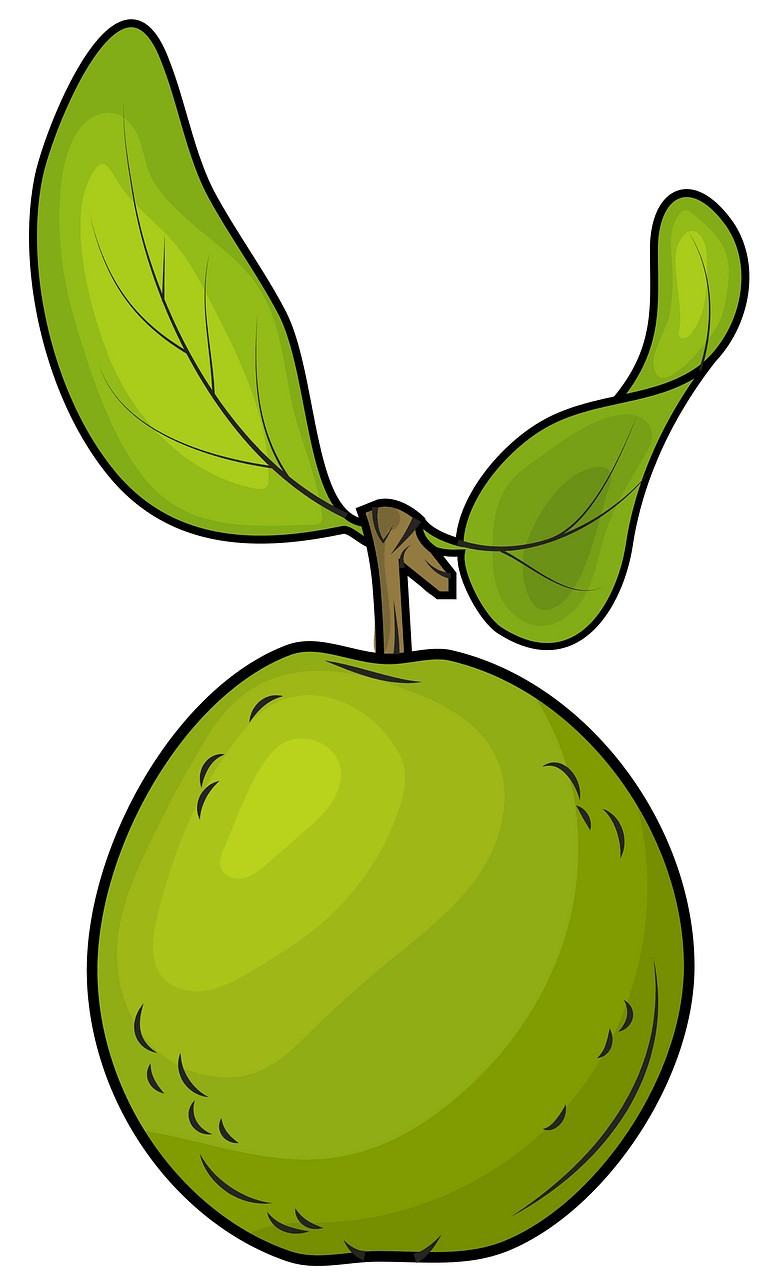 Jambu biji