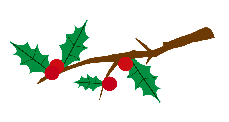Holly berry branch