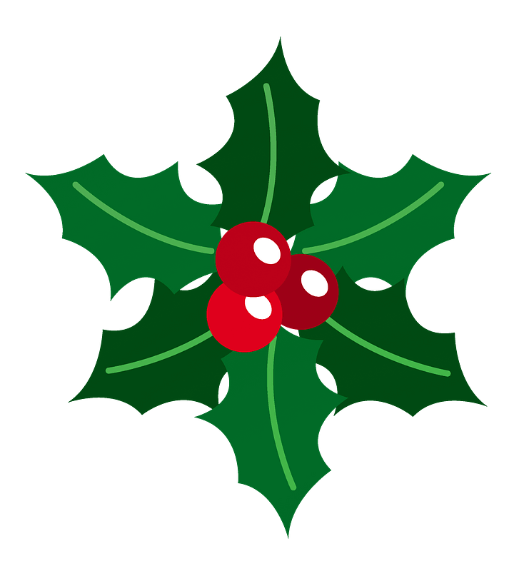Holly berries