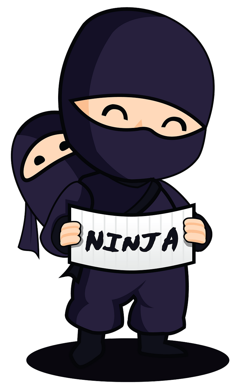 Ninja with a baby