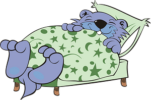 Sleeping marmot