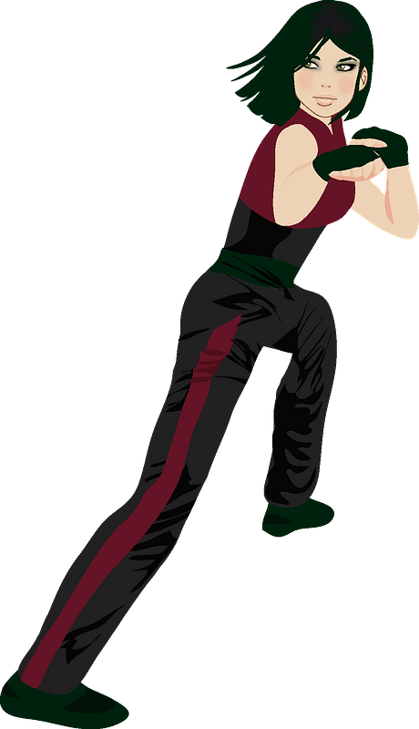 Kung fu girl