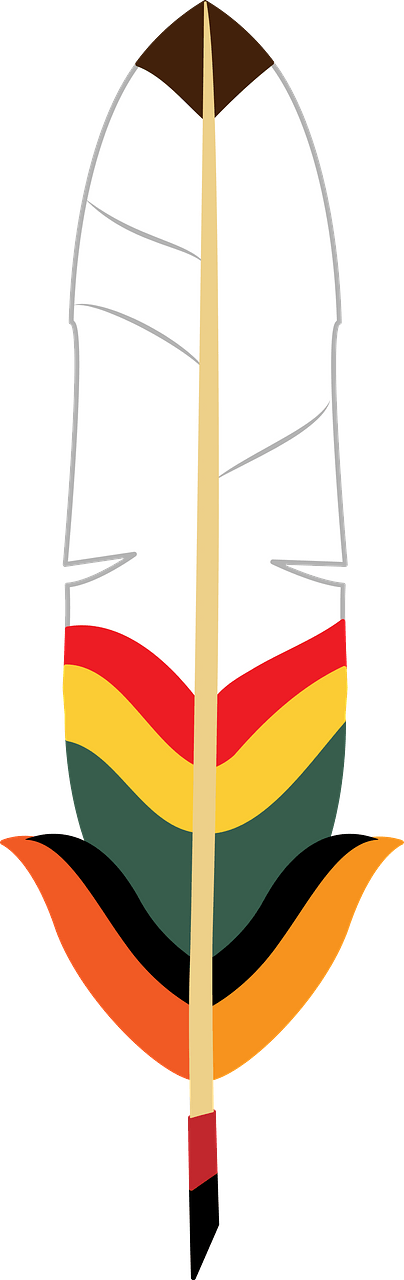 Indian feather