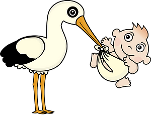 Stork with a newborn baby