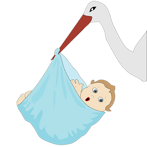 Stork with a baby boy