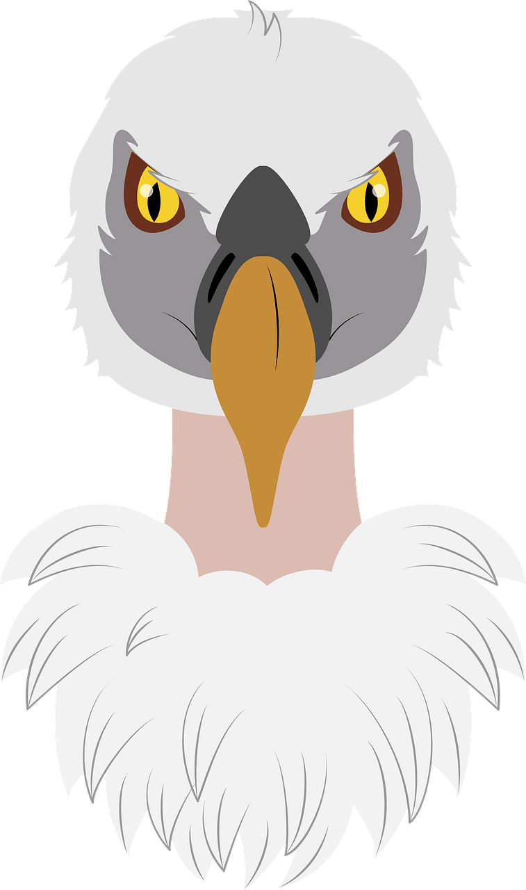 Vulture face