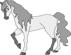 Gray horse