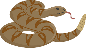 Rattlesnake
