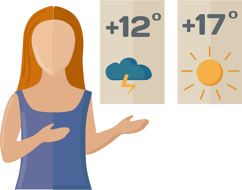 Weather reporter