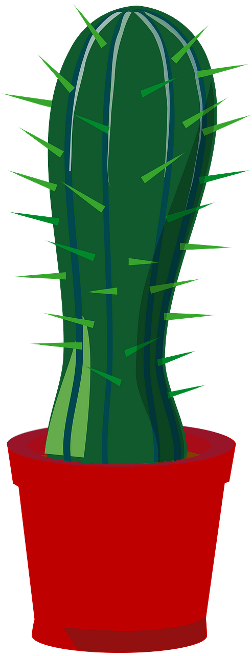 Cactus in a pot
