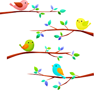 Birds on tree branch
