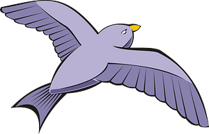 Purple bird