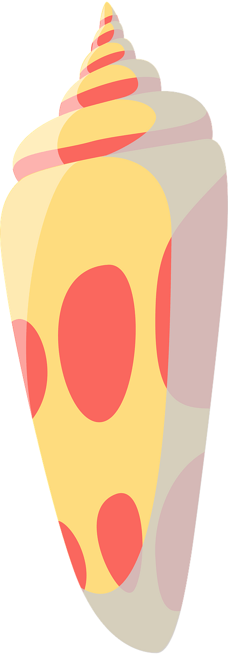 Spiral shell