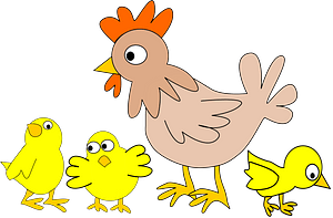 Hen with Three Chicken