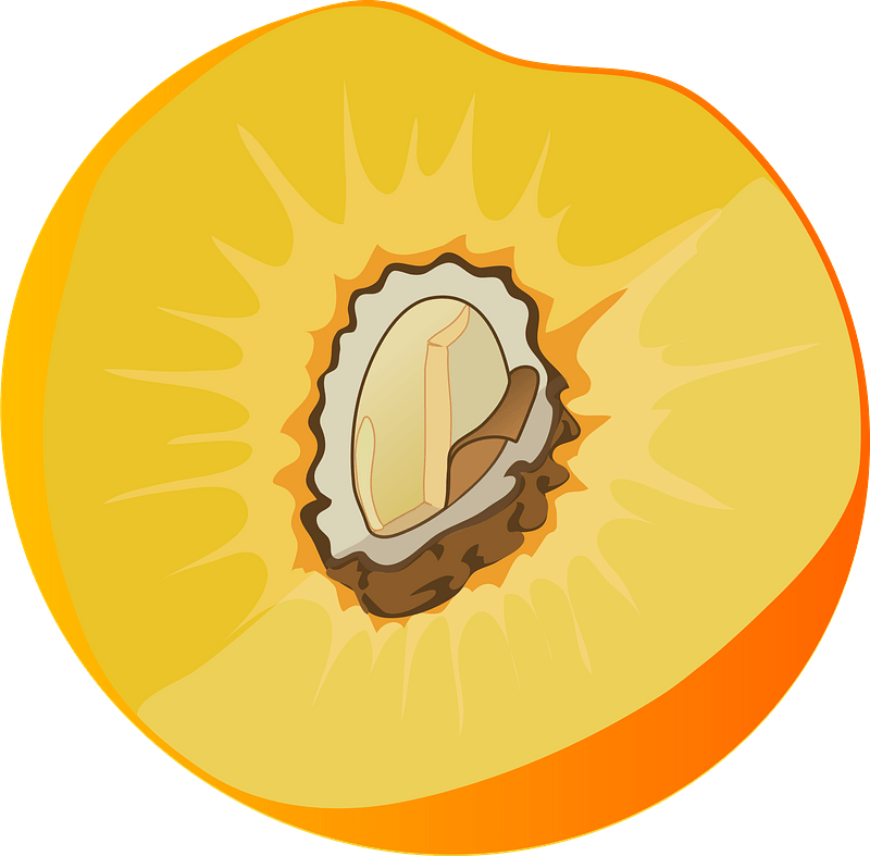 Peach cross section