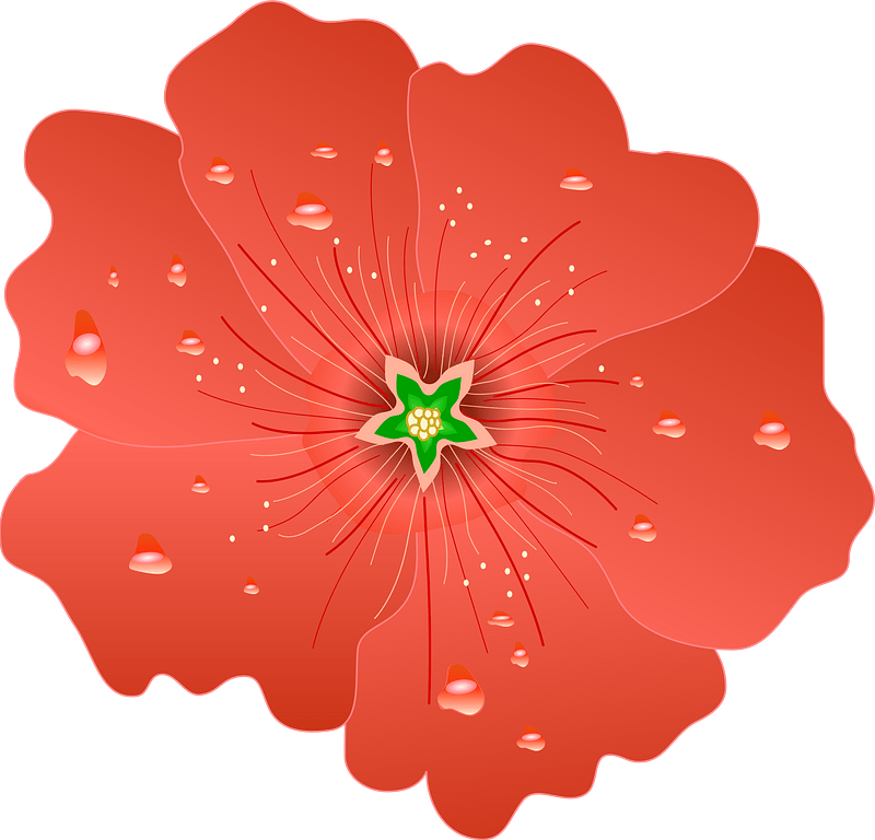 Hollyhock