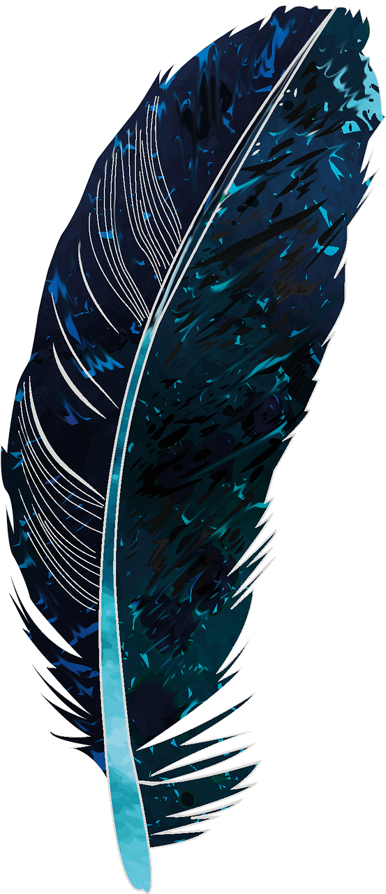 Blue feather
