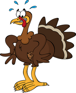 Turkey has no money