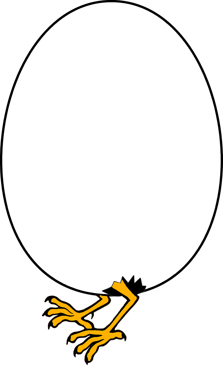Baby chick hatching