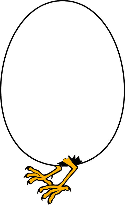 Baby chick hatching