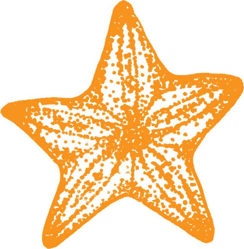 海星