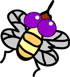 Fly