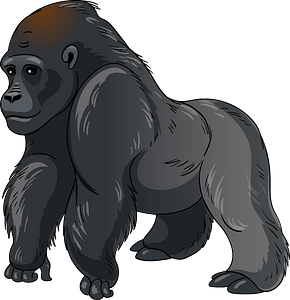 Gorilla