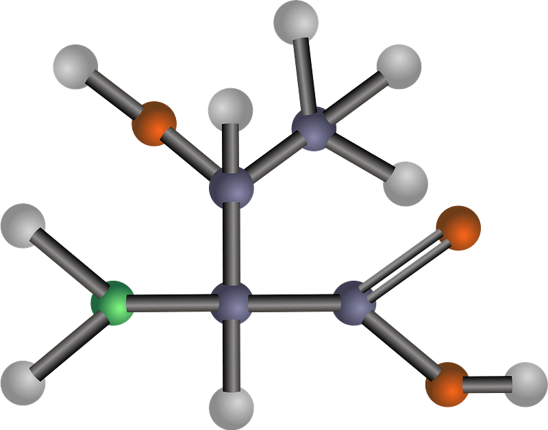 Threonine (Amino Acid)