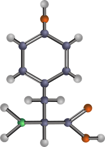Tyrosine (Amino Acid)