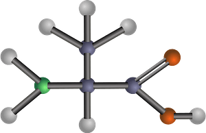 Alanine (Amino Acid)