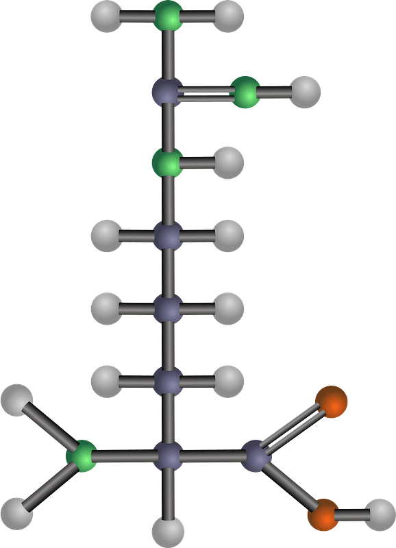Arginine (Amino Acid)
