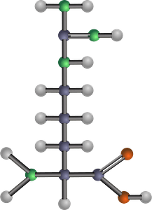 Arginine (Amino Acid)