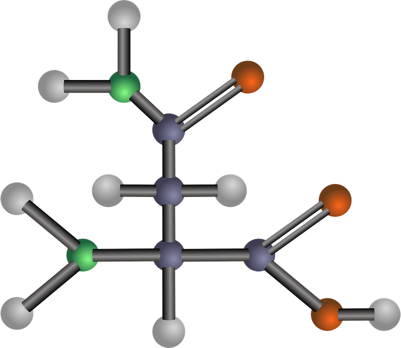 Asparagine (Amino Acid)