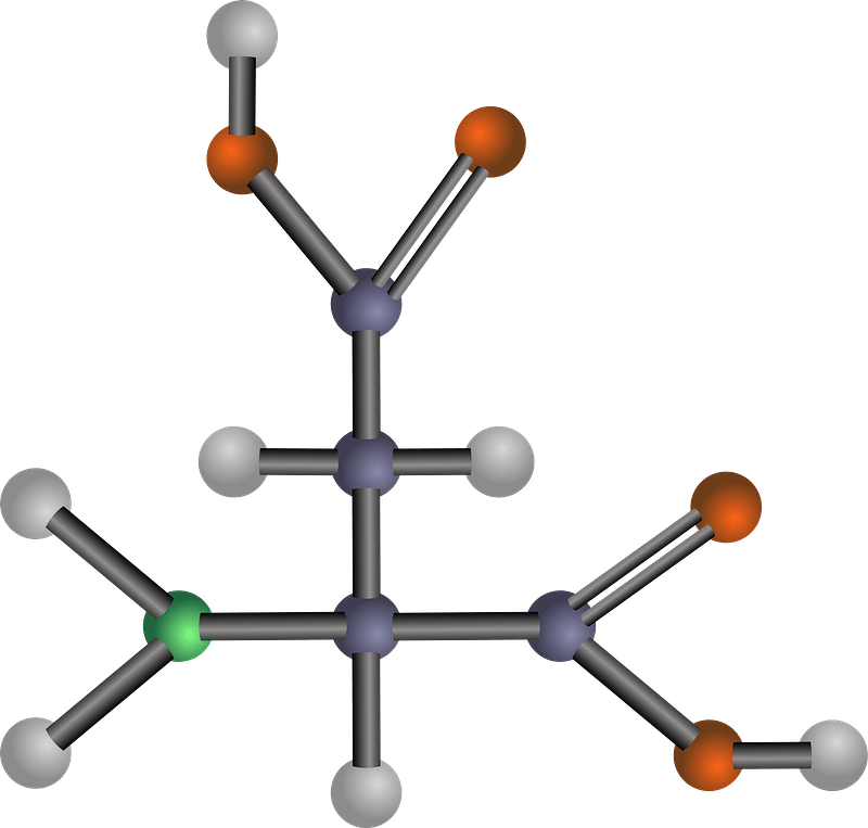 Aspartic Acid (Amino Acid)