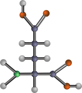 Glutamic Acid (Amino Acid)