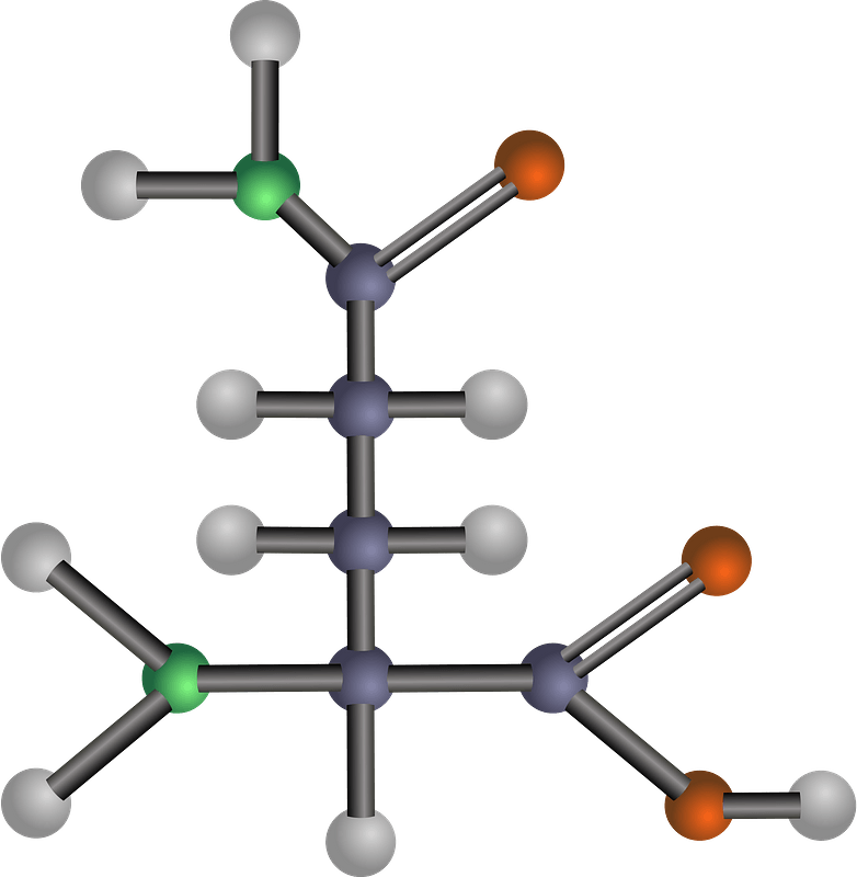 Glutamine (Amino Acid)