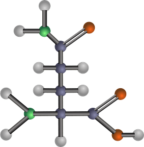 Glutamine (Amino Acid)