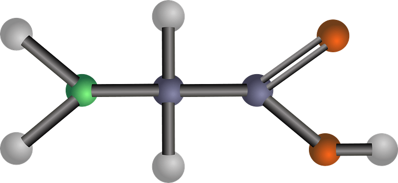 Glycine (Amino Acid)