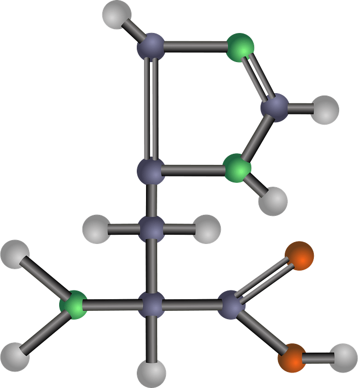 Histidine (Amino Acid) - Free vector clipart images on creazilla.com