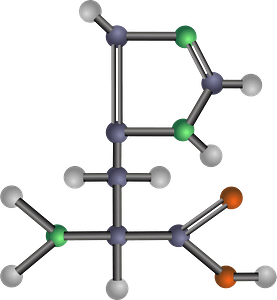 Histidine (Amino Acid)