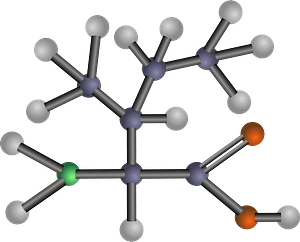 Isoleucine (Amino Acid)