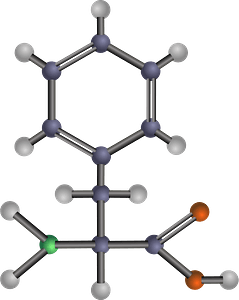 Phenylalanine (Amino Acid)
