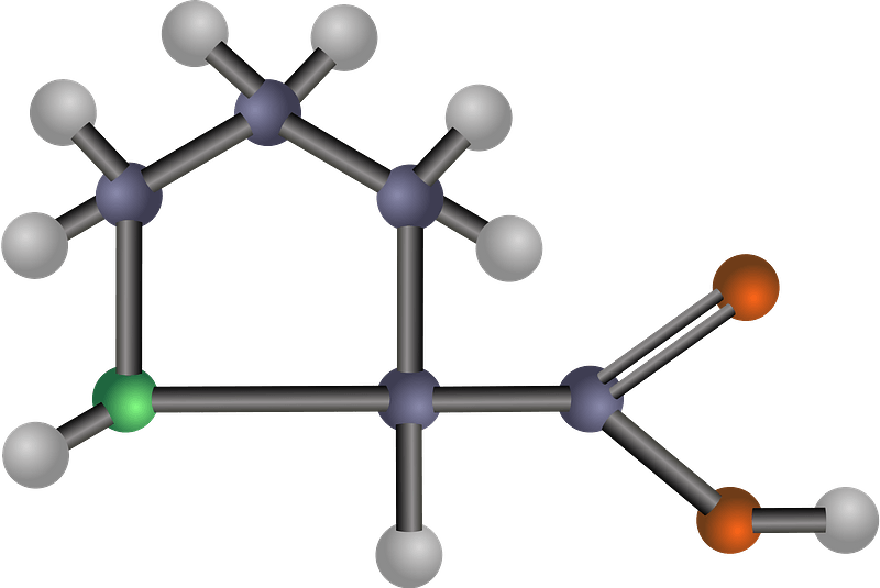 Proline (Amino Acid)
