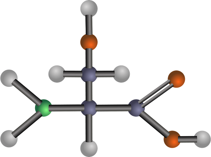 Serine (Amino Acid)